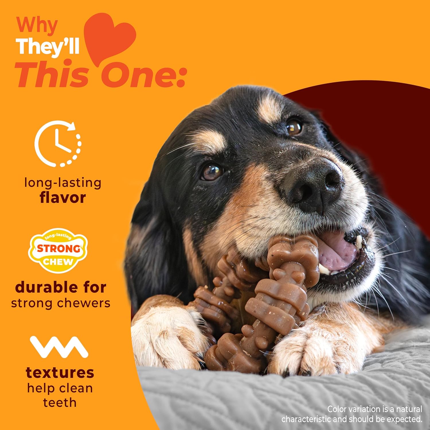 Nylabone Power Chew Textured Ring