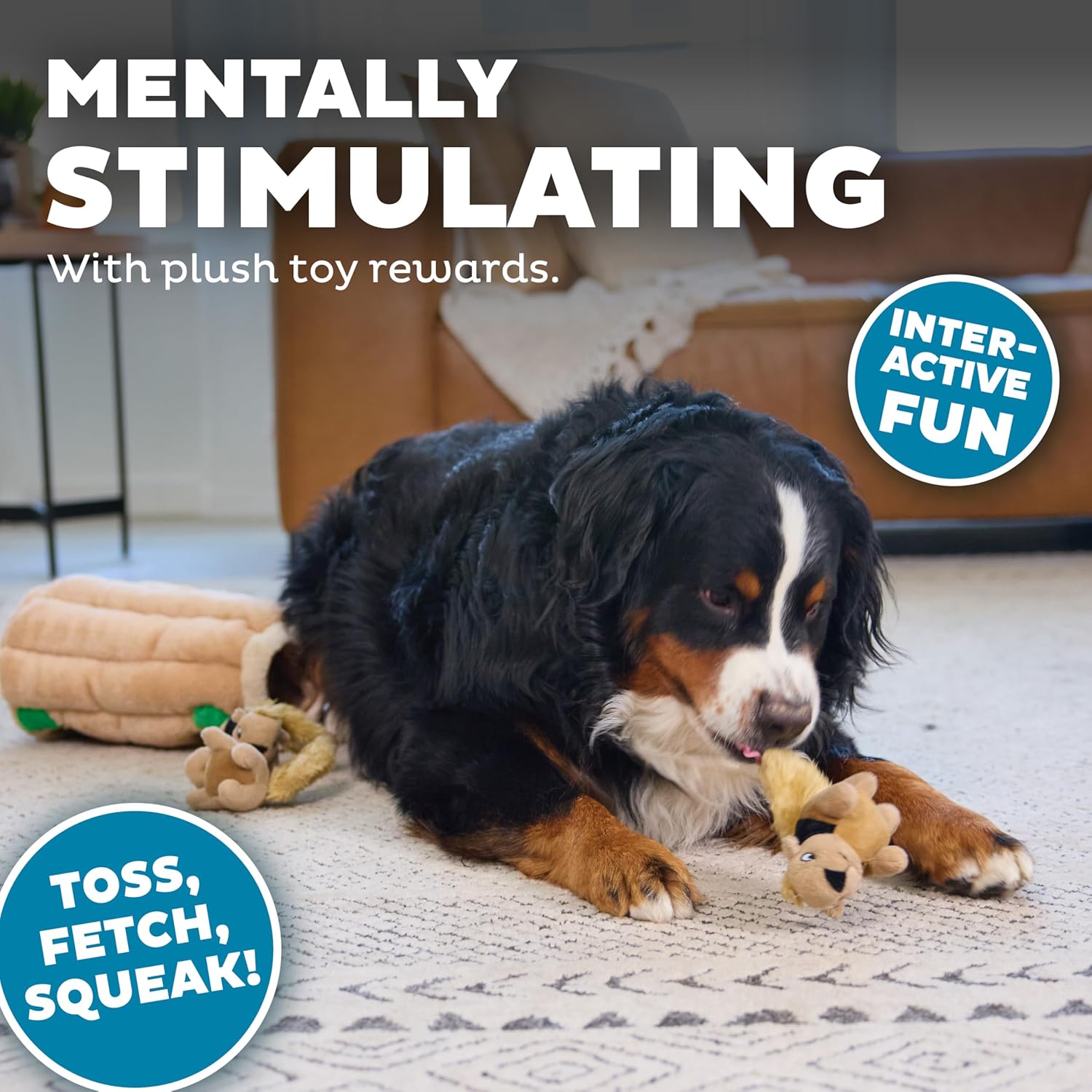 Outward Hound Hide-A-Squirrel Puzzle Toy