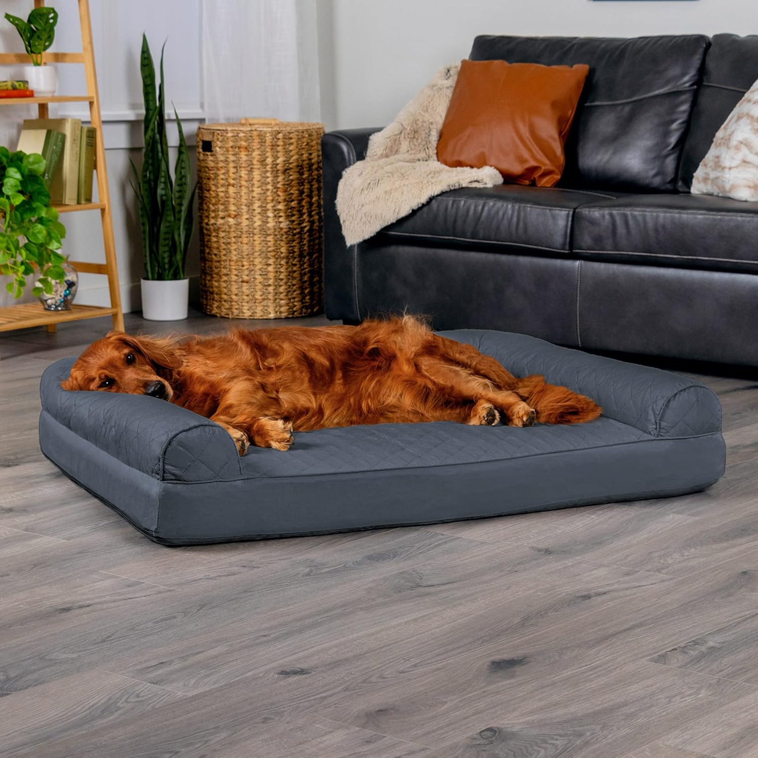 FurHaven Dreamer Sofa Orthopedic Dog Bed for Large Dogs